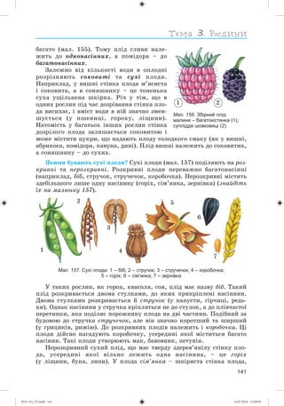 141
áàãàòî (ìàë. 155). Òîìó ïëіä ñëèâè íàëå-
æèòü äî îäíîíàñіííèõ, à ïîìіäîðà – äî
áàãàòîíàñіííèõ.
Çàëåæíî âіä êіëüêîñòі âîäè â îïëîäíі
ðîçðіçíÿþòü ñîêîâèòі òà ñóõі ïëîäè.
Íàïðèêëàä, ó âèøíі ñòіíêà ïëîäà ì’ÿñèñòà
і ñîêîâèòà, à â ñîíÿøíèêó – öå òîíåíüêà
ñóõà óùіëüíåíà øêіðêà. Ðі÷ ó òіì, ùî â
îäíèõ ðîñëèí ïіä ÷àñ äîçðіâàííÿ ñòіíêà ïëî-
äà âèñèõàє, і âìіñò âîäè â íіé çíà÷íî çìåí-
øóєòüñÿ (ó ïøåíèöі, ãîðîõó, ëіùèíè).
Íàòîìіñòü ó áàãàòüîõ іíøèõ ðîñëèí ñòіíêà
äîçðіëîãî ïëîäà çàëèøàєòüñÿ ñîêîâèòîþ і
ìîæå ìіñòèòè öóêðè, ùî íàäàþòü ïëîäó ñîëîäêîãî ñìàêó (ÿê ó âèøíі,
àáðèêîñà, ïîìіäîðà, êàâóíà, äèíі). Ïëіä âèøíі íàëåæèòü äî ñîêîâèòèõ,
à ñîíÿøíèêó – äî ñóõèõ.
ßêèìè áóâàþòü ñóõі ïëîäè? Ñóõі ïëîäè (ìàë. 157) ïîäіëÿþòü íà ðîç-
êðèâíі òà íåðîçêðèâíі. Ðîçêðèâíі ïëîäè ïåðåâàæíî áàãàòîíàñіííі
(íàïðèêëàä, áіá, ñòðó÷îê, ñòðó÷å÷îê, êîðîáî÷êà). Íåðîçêðèâíі ìіñòÿòü
çäåáіëüøîãî ëèøå îäíó íàñіíèíó (ãîðіõ, ñіì’ÿíêà, çåðíіâêà) (çíàéäіòü
їõ íà ìàëþíêó 157).
Мал. 157. Сухі плоди: 1 – біб; 2 – стручок; 3 – стручечок; 4 – коробочка;
5 – горіх; 6 – сім’янка; 7 – зернівка
Ó òàêèõ ðîñëèí, ÿê ãîðîõ, êâàñîëÿ, ñîÿ, ïëіä ìàє íàçâó áіá. Òàêèé
ïëіä ðîçêðèâàєòüñÿ äâîìà ñòóëêàìè, äî ÿêèõ ïðèêðіïëåíі íàñіíèíè.
Äâîìà ñòóëêàìè ðîçêðèâàєòüñÿ é ñòðó÷îê (ó êàïóñòè, ãіð÷èöі, ðåäü-
êè). Îäíàê íàñіíèíè ó ñòðó÷êà êðіïëÿòüñÿ íå äî ñòóëîê, à äî ïëіâ÷àñòîї
ïåðåòèíêè, ÿêà ïîäіëÿє ïîðîæíèíó ïëîäà íà äâі ÷àñòèíè. Ïîäіáíèé çà
áóäîâîþ äî ñòðó÷êà ñòðó÷å÷îê, àëå âіí çíà÷íî êîðîòøèé òà øèðøèé
(ó ãðèöèêіâ, ðèæіþ). Äî ðîçêðèâíèõ ïëîäіâ íàëåæèòü і êîðîáî÷êà. Öі
ïëîäè äіéñíî íàãàäóþòü êîðîáî÷êó, óñåðåäèíі ÿêîї ìіñòèòüñÿ áàãàòî
íàñіíèí. Òàêі ïëîäè óòâîðþþòü ìàê, áàâîâíèê, ïåòóíіÿ.
Íåðîçêðèâíèé ñóõèé ïëіä, ùî ìàє òâåðäó çäåðåâ’ÿíіëó ñòіíêó ïëî-
äà, óñåðåäèíі ÿêîї âіëüíî ëåæèòü îäíà íàñіíèíà, – öå ãîðіõ
(ó ëіùèíè, áóêà, ëèïè). Ó ïëîäà ñіì’ÿíêà – øêіðÿñòà ñòіíêà ïëîäà,
1
2
3
5
6
7
4
Мал. 156. Збірний плід
малини – багатокістянка (1);
супліддя шовковиці (2)
1 2
(014-13)_V2.indd 141 14.07.2014 13:09:45
 