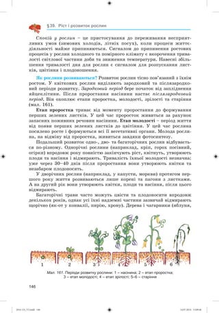146
§39. Ріст і розвиток рослин
Ñïîêіé ó ðîñëèí – öå ïðèñòîñóâàííÿ äî ïåðåæèâàííÿ íåñïðèÿò-
ëèâèõ óìîâ (çèìîâèõ õîëîäіâ, ëіòíіõ ïîñóõ), êîëè ïðîöåñè æèòòє-
äіÿëüíîñòі ìàéæå ïðèïèíÿþòüñÿ. Ñèãíàëîì äî ïðèïèíåííÿ ðîñòîâèõ
ïðîöåñіâ ó ðîñëèí õîëîäíîãî òà ïîìіðíîãî êëіìàòó є âêîðî÷åííÿ òðèâà-
ëîñòі ñâіòëîâîї ÷àñòèíè äîáè òà çíèæåííÿ òåìïåðàòóðè. Íàâåñíі çáіëü-
øåííÿ òðèâàëîñòі äíÿ äëÿ ðîñëèí є ñèãíàëîì äëÿ ðîçïóñêàííÿ ëèñò-
êіâ, öâіòіííÿ і ïëîäîíîøåííÿ.
ßê ðîñëèíè ðîçâèâàþòüñÿ? Ðîçâèòîê ðîñëèí òіñíî ïîâ’ÿçàíèé ç їõíіì
ðîñòîì. Ó êâіòêîâèõ ðîñëèí âèäіëÿþòü çàðîäêîâèé òà ïіñëÿçàðîäêî-
âèé ïåðіîäè ðîçâèòêó. Çàðîäêîâèé ïåðіîä áåðå ïî÷àòîê âіä çàïëіäíåííÿ
ÿéöåêëіòèíè. Ïіñëÿ ïðîðîñòàííÿ íàñіíèíè íàñòàє ïіñëÿçàðîäêîâèé
ïåðіîä. Âіí îõîïëþє åòàïè ïðîðîñòêà, ìîëîäîñòі, çðіëîñòі òà ñòàðіííÿ
(ìàë. 161).
Åòàï ïðîðîñòêà òðèâàє âіä ìîìåíòó ïðîðîñòàííÿ äî ôîðìóâàííÿ
ïåðøèõ çåëåíèõ ëèñòêіâ. Ó öåé ÷àñ ïðîðîñòîê æèâèòüñÿ çà ðàõóíîê
çàïàñíèõ ïîæèâíèõ ðå÷îâèí íàñіíèíè. Åòàï ìîëîäîñòі – ïåðіîä æèòòÿ
âіä ïîÿâè ïåðøèõ çåëåíèõ ëèñòêіâ äî öâіòіííÿ. Ó öåé ÷àñ ðîñëèíà
ïîñèëåíî ðîñòå і ôîðìóþòüñÿ âñі її âåãåòàòèâíі îðãàíè. Ìîëîäà ðîñëè-
íà, íà âіäìіíó âіä ïðîðîñòêà, æèâèòüñÿ çàâäÿêè ôîòîñèíòåçó.
Ïîäàëüøèé ðîçâèòîê îäíî-, äâî- òà áàãàòîðі÷íèõ ðîñëèí âіäáóâàєòü-
ñÿ ïî-ðіçíîìó. Îäíîðі÷íі ðîñëèíè (íàïðèêëàä, êðіï, ãîðîõ ïîñіâíèé,
îãіðêè) âïðîäîâæ ðîêó ïîâíіñòþ çàêіí÷óþòü ðіñò, êâіòíóòü, óòâîðþþòü
ïëîäè òà íàñіííÿ і âіäìèðàþòü. Òðèâàëіñòü їõíüîї ìîëîäîñòі íåçíà÷íà:
óæå ÷åðåç 30–40 äíіâ ïіñëÿ ïðîðîñòàííÿ âîíè óòâîðþþòü êâіòêè òà
íåçàáàðîì ïëîäîíîñÿòü.
Ó äâîðі÷íèõ ðîñëèí (íàïðèêëàä, ó êàïóñòè, ìîðêâè) ïðîòÿãîì ïåð-
øîãî ðîêó æèòòÿ ðîçâèâàþòüñÿ ëèøå êîðåíі òà ïàãîíè ç ëèñòêàìè.
À íà äðóãèé ðіê âîíè óòâîðþþòü êâіòêè, ïëîäè òà íàñіííÿ, ïіñëÿ öüîãî
âіäìèðàþòü.
Áàãàòîðі÷íі òðàâè ÷àñòî ìîæóòü öâіñòè òà ïëîäîíîñèòè âïðîäîâæ
äåêіëüêîõ ðîêіâ, îäíàê óñі їõíі íàäçåìíі ÷àñòèíè çàçâè÷àé âіäìèðàþòü
ùîðі÷íî (ÿê-îò ó êîíâàëії, ïèðіþ, õðîíó). Äåðåâà і ÷àãàðíèêè (ÿáëóíÿ,
1 2 3 4 5 6
Мал. 161. Періоди розвитку рослини: 1 – насінина; 2 – етап проростка;
3 – етап молодості; 4 – етап зрілості; 5–6 – старіння
(014-13)_V2.indd 146 14.07.2014 13:09:46
 