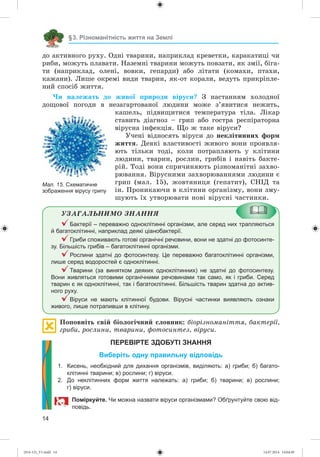 14
§3. Різноманітність життя на Землі
äî àêòèâíîãî ðóõó. Îäíі òâàðèíè, íàïðèêëàä êðåâåòêè, êàðàêàòèöі ÷è
ðèáè, ìîæóòü ïëàâàòè. Íàçåìíі òâàðèíè ìîæóòü ïîâçàòè, ÿê çìії, áіãà-
òè (íàïðèêëàä, îëåíі, âîâêè, ãåïàðäè) àáî ëіòàòè (êîìàõè, ïòàõè,
êàæàíè). Ëèøå îêðåìі âèäè òâàðèí, ÿê-îò êîðàëè, âåäóòü ïðèêðіïëå-
íèé ñïîñіá æèòòÿ.
×è íàëåæàòü äî æèâîї ïðèðîäè âіðóñè? Ç íàñòàííÿì õîëîäíîї
äîùîâîї ïîãîäè â íåçàãàðòîâàíîї ëþäèíè ìîæå ç’ÿâèòèñÿ íåæèòü,
êàøåëü, ïіäâèùèòèñÿ òåìïåðàòóðà òіëà. Ëіêàð
ñòàâèòü äіàãíîç – ãðèï àáî ãîñòðà ðåñïіðàòîðíà
âіðóñíà іíôåêöіÿ. Ùî æ òàêå âіðóñè?
Ó÷åíі âіäíîñÿòü âіðóñè äî íåêëіòèííèõ ôîðì
æèòòÿ. Äåÿêі âëàñòèâîñòі æèâîãî âîíè ïðîÿâëÿ-
þòü òіëüêè òîäі, êîëè ïîòðàïëÿþòü ó êëіòèíè
ëþäèíè, òâàðèí, ðîñëèí, ãðèáіâ і íàâіòü áàêòå-
ðіé. Òîäі âîíè ñïðè÷èíÿþòü ðіçíîìàíіòíі çàõâî-
ðþâàííÿ. Âіðóñíèìè çàõâîðþâàííÿìè ëþäèíè є
ãðèï (ìàë. 15), æîâòÿíèöÿ (ãåïàòèò), ÑÍІÄ òà
іí. Ïðîíèêàþ÷è â êëіòèíè îðãàíіçìó, âîíè çìó-
øóþòü їõ óòâîðþâàòè íîâі âіðóñíі ÷àñòèíêè.
ÓÇÀÃÀËÜÍÈÌÎ ÇÍÀÍÍß
Бактерії – переважно одноклітинні організми, але серед них трапляються
й багатоклітинні, наприклад деякі ціанобактерії.
Гриби споживають готові органічні речовини, вони не здатні до фотосинте-
зу. Більшість грибів – багатоклітинні організми.
Рослини здатні до фотосинтезу. Це переважно багатоклітинні організми,
лише серед водоростей є одноклітинні.
Тварини (за винятком деяких одноклітинних) не здатні до фотосинтезу.
Вони живляться готовими органічними речовинами так само, як і гриби. Серед
тварин є як одноклітинні, так і багатоклітинні. Більшість тварин здатна до актив-
ного руху.
Віруси не мають клітинної будови. Вірусні частинки виявляють ознаки
живого, лише потрапивши в клітину.
Ïîïîâíіòü ñâіé áіîëîãі÷íèé ñëîâíèê: áіîðіçíîìàíіòòÿ, áàêòåðії,
ãðèáè, ðîñëèíè, òâàðèíè, ôîòîñèíòåç, âіðóñè.
ПЕРЕВІРТЕ ЗДОБУТІ ЗНАННЯ
Виберіть одну правильну відповідь
1. Кисень, необхідний для дихання організмів, виділяють: а) гриби; б) багато-
клітинні тварини; в) рослини; г) віруси.
2. До неклітинних форм життя належать: а) гриби; б) тварини; в) рослини;
г) віруси.
Поміркуйте. Чи можна назвати віруси організмами? Обґрунтуйте свою від-
повідь.
Мал. 15. Схематичне
зображення вірусу грипу
(014-13)_V1.indd 14 14.07.2014 14:04:49
 