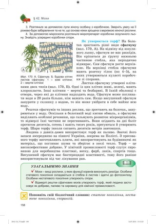 158
§ 42. Мохи
3. Розгляньте за допомогою лупи жіночу особину з коробочкою. Зверніть увагу на її
рожево-буре забарвлення та на те, що основа ніжки зрощена з верхівкою жіночої рослини.
4. За допомогою мікроскопа розгляньте мікропрепарат коробочки зозулиного льо-
ну. Знайдіть усередині коробочки спори.
ßê óòâîðþєòüñÿ òîðô? Íà áîëî-
òàõ çðîñòàþòü ðіçíі âèäè ñôàãíóìó
(ìàë. 170, À). Íà âіäìіíó âіä çîçóëè-
íîãî ëüîíó, ñôàãíóì íå ìàє ðèçîїäіâ.
Âіí êðіïèòüñÿ äî ґðóíòó íèæíüîþ
÷àñòèíîþ ñòåáëà, ÿêà ïåðіîäè÷íî
âіäìèðàє. Ñàì ñôàãíóì ðîñòå âåðõіâ-
êîþ. Íà âåðõіâöі ñòåáëà ñôàãíóìè
ìàþòü ðîçåòêó ãіëîê (ïî 4–5), íà
ÿêèõ óòâîðþþòüñÿ êóëÿñòі êîðîáî÷-
êè çі ñïîðàìè.
Ëèñòêè ñôàãíóìó óòâîðåíі êëіòè-
íàìè äâîõ òèïіâ (ìàë. 170, Á). Îäíі іç öèõ êëіòèí æèâі, çåëåíі, ìàþòü
õëîðîïëàñòè. Іíøі êëіòèíè – ìåðòâі òà áåçáàðâíі. Â їõíіé îáîëîíöі є
îòâîðè, ÷åðåç ÿêі äî êëіòèíè íàäõîäèòü âîäà. Ñôàãíóì ìîæå ïîãëèíà-
òè âîäè â 20 ðàçіâ áіëüøå, íіæ âàæèòü ñàì. ßêùî âèñóøåíèé ñôàãíóì
çàíóðèòè ó ñêëÿíêó ç âîäîþ, òî âіí ìîæå óâіáðàòè â ñåáå ìàéæå âñþ
âîäó.
Ðåøòêè ñôàãíóìіâ òà іíøèõ ðîñëèí, ùî çðîñòàþòü íà áîëîòàõ, çàíó-
ðþþòüñÿ ó âîäó. Îñêіëüêè â áîëîòÿíіé âîäі êèñíþ îáìàëü, à ñôàãíóìè
âèäіëÿþòü îñîáëèâі ðå÷îâèíè, ùî ãàëüìóþòü ðîçâèòîê ìіêðîîðãàíіçìіâ,
òî âіäìåðëі їõíі ÷àñòèíè íå ïåðåãíèâàþòü. Âîíè îñіäàþòü íà äíі áîëіò
ïðîòÿãîì äåñÿòêіâ, ñîòåíü і íàâіòü òèñÿ÷ ðîêіâ, ïðåñóþòüñÿ é óòâîðþþòü
òîðô. Øàðè òîðôó іíêîëè ñÿãàþòü äåñÿòêіâ ìåòðіâ çàâòîâøêè.
Ëþäèíà ç äàâíіõ-äàâåí âèêîðèñòîâóє òîðô ÿê ïàëèâî. Çíà÷íі éîãî
çàïàñè çîñåðåäæåíî íà ïіâíî÷і Óêðàїíè, çîêðåìà íà Ïîëіññі. Ç ïðåñîâà-
íîãî òîðôó âèãîòîâëÿþòü ïëèòè, ÿêі âèêîðèñòîâóþòü íà áóäіâíèöòâі ÿê
ìàòåðіàë, ùî ïîãëèíàє øóìè òà çáåðіãàє â îñåëі òåïëî. Òîðô – öå
âèñîêîåôåêòèâíå äîáðèâî. Ó õіìі÷íіé ïðîìèñëîâîñòі òîðô ñëóãóє ñèðî-
âèíîþ äëÿ âèðîáíèöòâà ïëàñòìàñ, âîñêó, ôàðá, ëàêіâ, ñïèðòіâ òîùî.
Âèñóøåíèé ñôàãíóì ìàє áàêòåðèöèäíі âëàñòèâîñòі, òîìó éîãî ðàíіøå
âèêîðèñòîâóâàëè ïіä ÷àñ ëіêóâàííÿ ðàí.
ÓÇÀÃÀËÜÍÈÌÎ ÇÍÀÍÍß
Мохи – вищі рослини, у яких функції коренів виконують ризоїди. Особини
статевого покоління складаються зі стебла й листків і здатні до фотосинтезу.
Особини нестатевого покоління утворюють спори.
Відмерлі рештки сфагнових мохів утворюють торф, який людина засто-
совує як добриво, паливо та сировину для хімічної промисловості.
Ïîïîâíіòü ñâіé áіîëîãі÷íèé ñëîâíèê: ñòàòåâå ïîêîëіííÿ, íåñòà-
òåâå ïîêîëіííÿ, ñïîðàíãіé.
Мал. 170. А. Сфагнум. Б. Будова клітин
листків сфагнуму: 1 – живі клітини;
2 – мертві клітини
À Á
21
(014-13)_V3.indd 158 14.07.2014 13:13:23
 