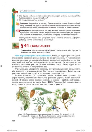 164
§ 44. Голонасінні
3. Яка будова особини нестатевого покоління папороті щитника чоловічого? Яка
будова заростку папоротеподібних?
4. Як утворилося кам’яне вугілля?
Завдання (виконуйте в групах). Охарактеризуйте плаун булавоподібний,
хвощ польовий, щитник чоловічий за планом: середовище зростання, корінь,
стебло, листки, спосіб розмноження, значення у природі та в житті людини.
Поміркуйте. Є народне повір’я, що тому, хто в ніч на Івана Купала знайде квіт-
ку папороті, щаститиме в житті, зокрема він зможе знайти скарби, які охороня-
ють злі сили. Як ви вважаєте, чи можливо насправді знайти квітку папороті?
Підготуйте міні-проект «Як утворився торф і кам’яне вугілля?». Оформіть
роботу у вигляді комп’ютерної презентації.
§ 44. ГОЛОНАСІННІ
Пригадайте, що ви знаєте про вітаміни та фітонциди. Яка будова та
значення насінини в житті рослин?
×èì õàðàêòåðèçóþòüñÿ ãîëîíàñіííі? Ëèøå äâі ãðóïè ðîñëèí çäàòíі
óòâîðþâàòè íàñіííÿ: öå ãîëîíàñіííі òà ïîêðèòîíàñіííі. Ó ãîëîíàñіííèõ
ðîñëèí íàñіíèíè íå çàõèùåíі ñòіíêîþ ïëîäà. Їõíі íàñіííі çà÷àòêè ðîç-
òàøîâàíі íå â çàâ’ÿçі, à âіäêðèòî íà ëóñêàõ øèøîê. Âè âæå çíàєòå, ùî
íàñіííÿ êâіòêîâèõ ðîñëèí îòî÷åíå ñòіíêîþ ïëîäà. Òîìó äðóãà íàçâà
êâіòêîâèõ ðîñëèí – ïîêðèòîíàñіííі.
Ó ðîñëèí, ÿêі óòâîðþþòü íàñіííÿ, ïðîöåñ çàïëіäíåííÿ íå çàëåæèòü
âіä âîëîãîãî ñåðåäîâèùà, àäæå éîìó ïåðåäóє çàïèëåííÿ. Òîìó íàñіííі
ðîñëèíè çäàòíі çðîñòàòè і â ïîñóøëèâèõ ìіñöåâîñòÿõ.
Âіäîìî áëèçüêî 700 ñó÷àñíèõ âèäіâ ãîëîíàñіííèõ ðîñëèí. Öå
äåðåâ’ÿíèñòі, ïåðåâàæíî âі÷íîçåëåíі ðîñëèíè (äåðåâà, ëіàíè àáî ÷àãàð-
íèêè). Â îäíèõ âèäіâ ëèñòêè âåëèêі, â іíøèõ – äðіáíі, íàé÷àñòіøå
ìàþòü âèãëÿä ãîëîê ÷è ëóñîê (ìàë. 178). Ãîëêîïîäіáíі ëèñòêè ìàþòü
íàçâó õâîÿ, à ðîñëèíè ç òàêèìè ëèñòêàìè – õâîéíі.
1
2
3 4
5
Мал. 178. Гілки різноманітних голонасінних: 1 – сосни; 2 – ялини; 3 – туї;
4 – яловцю; 5 – модрини. Завдання. Розгляньте малюнок. о спільного
в різних представників голонасінних?
(014-13)_V3.indd 164 14.07.2014 13:13:25
 