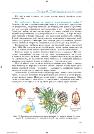 165
Öå òàêі âіäîìі ðîñëèíè, ÿê ñîñíà, ÿëèíà, ÿëèöÿ, ìîäðèíà, êåäð,
ÿëîâåöü, òèñ.
ßêі îñîáëèâîñòі áóäîâè òà ïðîöåñіâ æèòòєäіÿëüíîñòі õâîéíèõ?
Áіëüøіñòü іç íèõ є âі÷íîçåëåíèìè ðîñëèíàìè, і ëèøå äåÿêі ïðåäñòàâíè-
êè (íàïðèêëàä, ìîäðèíà) íàëåæàòü äî ëèñòîïàäíèõ ðîñëèí (ïðèãàäàé-
òå, ÿêі ðîñëèíè íàçèâàþòü âі÷íîçåëåíèìè, à ÿêі – ëèñòîïàäíèìè).
Ñòîâáóðè õâîéíèõ âêðèòі òîíêîþ êîðîþ, ïіä ÿêîþ ïîìіòíі ðі÷íі êіëüöÿ
äåðåâèíè (ïðèãàäàéòå, ÿê óòâîðþþòüñÿ ðі÷íі êіëüöÿ). Ó êîðі òà äåðå-
âèíі õâîéíèõ є áàãàòî êàíàëüöіâ, ÿêі íàçèâàþòü ñìîëÿíèìè õîäàìè.
Ó ðàçі óøêîäæåííÿ ñòîâáóðà êëіòèíè, ùî âèñòåëÿþòü öі êàíàëüöі, âèäі-
ëÿþòü ãóñòó ðіäèíó – æèâèöþ. Âîíà çàòÿãóє ðàíêó é çàïîáіãàє ïðîíèê-
íåííþ çáóäíèêіâ õâîðîá òà øêіäíèêіâ. Ñìîëÿíі õîäè є é ó õâîїíêàõ.
Ðîçìíîæåííÿ õâîéíèõ ðîçãëÿíåìî íà ïðèêëàäі ñîñíè çâè÷àéíîї
(ìàë. 179). Öÿ ðîñëèíà æèâå äî 400 ðîêіâ і ìîæå ñÿãàòè çàââèøêè äî
50 ì. Íàñіííÿ ñîñíà ïî÷èíàє óòâîðþâàòè íà 12–15-ìó ðîöі æèòòÿ.
Ïèëêîâі çåðíà òà íàñіííі çà÷àòêè ôîðìóþòüñÿ â øèøêàõ. Öå âêî-
ðî÷åíі âèäîçìіíåíі ïàãîíè, ëèñòêè ÿêèõ ïåðåòâîðèëèñÿ íà ëóñêè.
Ó ñîñíè є ÷îëîâі÷і òà æіíî÷і øèøêè, ùî ðîçòàøîâàíі íà îäíіé ðîñëè-
íі (ïðèãàäàéòå, ÿê íàçèâàþòü òàêі ðîñëèíè). Ó ÷îëîâі÷èõ øèøêàõ
óòâîðþþòüñÿ ïèëêîâі çåðíà, à â æіíî÷èõ – íàñіííі çà÷àòêè.
Ìîëîäі æіíî÷і øèøêè ñîñíè ÷åðâîíóâàòîãî êîëüîðó. Âîíè ðîçòàøî-
âàíі ïîîäèíöі íà âåðõіâêàõ ïàãîíіâ. Æіíî÷і øèøêè ìàþòü ëóñêè äâîõ
òèïіâ. Çîâíіøíі ëóñêè – ïîêðèâíі – çàõèùàþòü âíóòðіøíі ëóñêè ç
äâîìà íàñіííèìè çà÷àòêàìè âіä óøêîäæåíü.
Ñâіòëî-æîâòі ÷îëîâі÷і øèøêè çіáðàíі ãðóïàìè, ìàþòü ëèøå îäèí òèï
ëóñîê. Ç їõíüîãî íèæíüîãî áîêó ðîçìіùåíі äâà ïèëÿêè, ó ÿêèõ ôîðìó-
þòüñÿ ïèëêîâі çåðíà. Ïèëêîâå çåðíî âêðèòå äâîìà îáîëîíêàìè. Ìіæ
öèìè îáîëîíêàìè ó äâîõ ìіñöÿõ є ïîðîæíèíè, çàïîâíåíі ïîâіòðÿì –
ïîâіòðÿíі ìіøêè (ìàë. 179, 3). Âîíè ðîáëÿòü ïèëîê äóæå ëåãêèì.
êðèëîïîäіáíі
âèðîñòè
ïîâіòðÿíі
ìіøêè
3
4
5
1
2
Мал. 179. Будова органів розмноження сосни звичайної: 1 – чоловіча шишка; 2 – жіночі
шишки; 3 – пилкове зерно; 4 – насінний зачаток; 5 – дві насінини на лусці шишки
(014-13)_V3.indd 165 14.07.2014 13:13:25
 