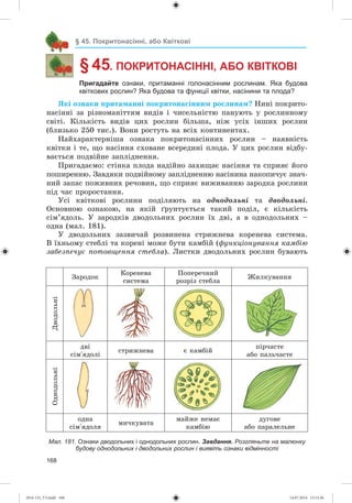 168
§ 45. Покритонасінні, або Квіткові
§ 45. ПОКРИТОНАСІННІ, АБО КВІТКОВІ
Пригадайте ознаки, притаманні голонасінним рослинам. Яка будова
квіткових рослин? Яка будова та функції квітки, насінини та плода?
ßêі îçíàêè ïðèòàìàííі ïîêðèòîíàñіííèì ðîñëèíàì? Íèíі ïîêðèòî-
íàñіííі çà ðіçíîìàíіòòÿì âèäіâ і ÷èñåëüíіñòþ ïàíóþòü ó ðîñëèííîìó
ñâіòі. Êіëüêіñòü âèäіâ öèõ ðîñëèí áіëüøà, íіæ óñіõ іíøèõ ðîñëèí
(áëèçüêî 250 òèñ.). Âîíè ðîñòóòü íà âñіõ êîíòèíåíòàõ.
Íàéõàðàêòåðíіøà îçíàêà ïîêðèòîíàñіííèõ ðîñëèí – íàÿâíіñòü
êâіòêè і òå, ùî íàñіííÿ ñõîâàíå âñåðåäèíі ïëîäà. Ó öèõ ðîñëèí âіäáó-
âàєòüñÿ ïîäâіéíå çàïëіäíåííÿ.
Ïðèãàäàєìî: ñòіíêà ïëîäà íàäіéíî çàõèùàє íàñіííÿ òà ñïðèÿє éîãî
ïîøèðåííþ. Çàâäÿêè ïîäâіéíîìó çàïëіäíåííþ íàñіíèíà íàêîïè÷óє çíà÷-
íèé çàïàñ ïîæèâíèõ ðå÷îâèí, ùî ñïðèÿє âèæèâàííþ çàðîäêà ðîñëèíè
ïіä ÷àñ ïðîðîñòàííÿ.
Óñі êâіòêîâі ðîñëèíè ïîäіëÿþòü íà îäíîäîëüíі òà äâîäîëüíі.
Îñíîâíîþ îçíàêîþ, íà ÿêіé ґðóíòóєòüñÿ òàêèé ïîäіë, є êіëüêіñòü
ñіì’ÿäîëü. Ó çàðîäêіâ äâîäîëüíèõ ðîñëèí їõ äâі, à â îäíîäîëüíèõ –
îäíà (ìàë. 181).
Ó äâîäîëüíèõ çàçâè÷àé ðîçâèíåíà ñòðèæíåâà êîðåíåâà ñèñòåìà.
Â їõíüîìó ñòåáëі òà êîðåíі ìîæå áóòè êàìáіé (ôóíêöіîíóâàííÿ êàìáіþ
çàáåçïå÷óє ïîòîâùåííÿ ñòåáëà). Ëèñòêè äâîäîëüíèõ ðîñëèí áóâàþòü
Çàðîäîê
Êîðåíåâà
ñèñòåìà
Ïîïåðå÷íèé
ðîçðіç ñòåáëà
Æèëêóâàííÿ
Äâîäîëüíі
äâі
ñіì’ÿäîëі
ñòðèæíåâà є êàìáіé
ïіð÷àñòå
àáî ïàëü÷àñòå
Îäíîäîëüíі
îäíà
ñіì’ÿäîëÿ
ìè÷êóâàòà
ìàéæå íåìàє
êàìáіþ
äóãîâå
àáî ïàðàëåëüíå
Мал. 181. Ознаки дводольних і однодольних рослин. Завдання. Розгляньте на малюнку
будову однодольних і дводольних рослин і виявіть ознаки відмінності
(014-13)_V3.indd 168 14.07.2014 13:13:26
 
