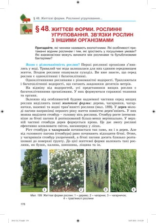 178
§ 48. Життєві форми. Рослинні угруповання...
§ 48. ЖИТТЄВІ ФОРМИ. РОСЛИННІ
УГРУПОВАННЯ. ЗВ’ЯЗКИ РОСЛИН
З ІНШИМИ ОРГАНІЗМАМИ
Пригадайте, які чинники називають екологічними. Які особливості при-
таманні водним рослинам і тим, які зростають у посушливих умовах?
Які взаємозв’язки можуть виникати між рослинами та бульбочковими
бактеріями?
ßêîþ є ðіçíîìàíіòíіñòü ðîñëèí? Ïåðøі ðîñëèííі îðãàíіçìè ç’ÿâè-
ëèñü ó âîäі. Òðèâàëèé ÷àñ âîäà çàëèøàëàñÿ äëÿ íèõ єäèíèì ñåðåäîâèùåì
æèòòÿ. Çãîäîì ðîñëèíè îïàíóâàëè ñóõîäіë. Âè âæå çíàєòå, ùî ñåðåä
ðîñëèí є îäíîêëіòèííі і áàãàòîêëіòèííі.
Îäíîêëіòèííèìè ðîñëèíàìè є ðіçíîìàíіòíі âîäîðîñòі. Òðàïëÿþòüñÿ
і áàãàòîêëіòèííі âîäîðîñòі, ùî ñÿãàþòü çàâäîâæêè äåñÿòêіâ ìåòðіâ.
Íà âіäìіíó âіä âîäîðîñòåé, óñі ïðåäñòàâíèêè âèùèõ ðîñëèí є
áàãàòîêëіòèííèìè îðãàíіçìàìè. Ó íèõ ôîðìóþòüñÿ ñïðàâæíі òêàíèíè
òà îðãàíè.
Çàëåæíî âіä îñîáëèâîñòåé áóäîâè íàäçåìíîї ÷àñòèíè ñåðåä âèùèõ
ðîñëèí âèäіëÿþòü ïåâíі æèòòєâі ôîðìè: äåðåâà, ÷àãàðíèêè, ÷àãàð-
íè÷êè, íàçåìíі òà âîäíі òðàâ’ÿíèñòі ðîñëèíè (ìàë. 189). Ó äåðåâ ìîëî-
äі ïàãîíè íàïðèêіíöі ïåðøîãî ðîêó æèòòÿ ïîâíіñòþ äåðåâ’ÿíіþòü. Ó íèõ
ìîæíà âèäіëèòè ñòîâáóð – ãîëîâíó âіñü ðîñëèíè. Ñòîâáóð ðîñòå іíòåíñèâ-
íіøå çà áі÷íі ïàãîíè é ðîçòàøîâàíèé áіëüø-ìåíø âåðòèêàëüíî. Ó âåðõ-
íіé ÷àñòèíі ñòîâáóðà äåðåâ ôîðìóєòüñÿ êðîíà. Öå äàє çìîãó ðîñëèíі
åôåêòèâíî âëîâëþâàòè ñâіòëî, íàñàìïåðåä ó ëіñàõ.
Ðіñò ñòîâáóðà â ÷àãàðíèêіâ ïî÷èíàєòüñÿ òàê ñàìî, ÿê і â äåðåâ. Àëå
âіä ãîëîâíîãî ïàãîíà (ñòîâáóðà) ðàíî ïî÷èíàþòü âіäõîäèòè áі÷íі. Îòæå,
ó ÷àãàðíèêіâ ñòîâáóð óêîðî÷åíèé, à áі÷íі ïàãîíè äîñèòü áëèçüêî ðîçòà-
øîâàíі äî ïîâåðõíі ґðóíòó. Äî öієї æèòòєâîї ôîðìè íàëåæàòü òàêі ðîñ-
ëèíè, ÿê áóçîê, êàëèíà, øèïøèíà, ëіùèíà òà іí.
2 31 4
Мал. 189. Життєві форми рослин: 1 – дерево; 2 – чагарник; 3 – чагарничок;
4 – трав’янисті рослини
(014-13)_V3.indd 178 14.07.2014 13:13:29
 