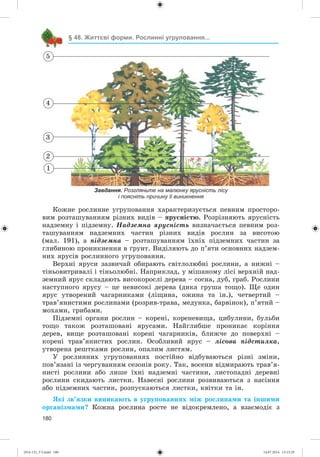 180
§ 48. Життєві форми. Рослинні угруповання...
Êîæíå ðîñëèííå óãðóïîâàííÿ õàðàêòåðèçóєòüñÿ ïåâíèì ïðîñòîðî-
âèì ðîçòàøóâàííÿì ðіçíèõ âèäіâ – ÿðóñíіñòþ. Ðîçðіçíÿþòü ÿðóñíіñòü
íàäçåìíó і ïіäçåìíó. Íàäçåìíà ÿðóñíіñòü âèçíà÷àєòüñÿ ïåâíèì ðîç-
òàøóâàííÿì íàäçåìíèõ ÷àñòèí ðіçíèõ âèäіâ ðîñëèí çà âèñîòîþ
(ìàë. 191), à ïіäçåìíà – ðîçòàøóâàííÿì їõíіõ ïіäçåìíèõ ÷àñòèí çà
ãëèáèíîþ ïðîíèêíåííÿ â ґðóíò. Âèäіëÿþòü äî ï’ÿòè îñíîâíèõ íàäçåì-
íèõ ÿðóñіâ ðîñëèííîãî óãðóïîâàííÿ.
Âåðõíі ÿðóñè çàçâè÷àé îáèðàþòü ñâіòëîëþáíі ðîñëèíè, à íèæíі –
òіíüîâèòðèâàëі і òіíüîëþáíі. Íàïðèêëàä, ó ìіøàíîìó ëіñі âåðõíіé íàä-
çåìíèé ÿðóñ ñêëàäàþòü âèñîêîðîñëі äåðåâà – ñîñíà, äóá, ãðàá. Ðîñëèíè
íàñòóïíîãî ÿðóñó – öå íåâèñîêі äåðåâà (äèêà ãðóøà òîùî). Ùå îäèí
ÿðóñ óòâîðåíèé ÷àãàðíèêàìè (ëіùèíà, îæèíà òà іí.), ÷åòâåðòèé –
òðàâ’ÿíèñòèìè ðîñëèíàìè (ðîçðèâ-òðàâà, ìåäóíêà, áàðâіíîê), ï’ÿòèé –
ìîõàìè, ãðèáàìè.
Ïіäçåìíі îðãàíè ðîñëèí – êîðåíі, êîðåíåâèùà, öèáóëèíè, áóëüáè
òîùî òàêîæ ðîçòàøîâàíі ÿðóñàìè. Íàéãëèáøå ïðîíèêàє êîðіííÿ
äåðåâ, âèùå ðîçòàøîâàíі êîðåíі ÷àãàðíèêіâ, áëèæ÷å äî ïîâåðõíі –
êîðåíі òðàâ’ÿíèñòèõ ðîñëèí. Îñîáëèâèé ÿðóñ – ëіñîâà ïіäñòèëêà,
óòâîðåíà ðåøòêàìè ðîñëèí, îïàëèì ëèñòÿì.
Ó ðîñëèííèõ óãðóïîâàííÿõ ïîñòіéíî âіäáóâàþòüñÿ ðіçíі çìіíè,
ïîâ’ÿçàíі іç ÷åðãóâàííÿì ñåçîíіâ ðîêó. Òàê, âîñåíè âіäìèðàþòü òðàâ’ÿ-
íèñòі ðîñëèíè àáî ëèøå їõíі íàäçåìíі ÷àñòèíè, ëèñòîïàäíі äåðåâíі
ðîñëèíè ñêèäàþòü ëèñòêè. Íàâåñíі ðîñëèíè ðîçâèâàþòüñÿ ç íàñіííÿ
àáî ïіäçåìíèõ ÷àñòèí, ðîçïóñêàþòüñÿ ëèñòêè, êâіòêè òà іí.
ßêі çâ’ÿçêè âèíèêàþòü â óãðóïîâàííÿõ ìіæ ðîñëèíàìè òà іíøèìè
îðãàíіçìàìè? Êîæíà ðîñëèíà ðîñòå íå âіäîêðåìëåíî, à âçàєìîäіє ç
Мал. 191. Яруси лісу.
Завдання. Розгляньте на малюнку ярусність лісу
і поясніть причину її виникнення
1
2
3
4
5
(014-13)_V3.indd 180 14.07.2014 13:13:29
 