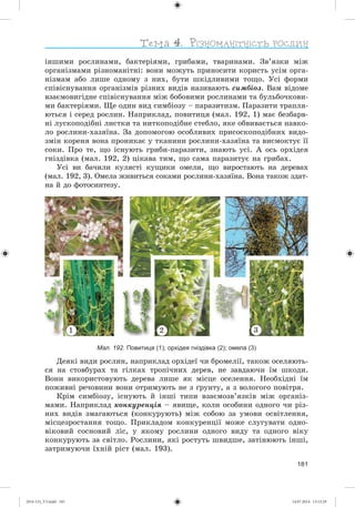 181
іíøèìè ðîñëèíàìè, áàêòåðіÿìè, ãðèáàìè, òâàðèíàìè. Çâ’ÿçêè ìіæ
îðãàíіçìàìè ðіçíîìàíіòíі: âîíè ìîæóòü ïðèíîñèòè êîðèñòü óñіì îðãà-
íіçìàì àáî ëèøå îäíîìó ç íèõ, áóòè øêіäëèâèìè òîùî. Óñі ôîðìè
ñïіâіñíóâàííÿ îðãàíіçìіâ ðіçíèõ âèäіâ íàçèâàþòü ñèìáіîç. Âàì âіäîìå
âçàєìîâèãіäíå ñïіâіñíóâàííÿ ìіæ áîáîâèìè ðîñëèíàìè òà áóëüáî÷êîâè-
ìè áàêòåðіÿìè. Ùå îäèí âèä ñèìáіîçó – ïàðàçèòèçì. Ïàðàçèòè òðàïëÿ-
þòüñÿ і ñåðåä ðîñëèí. Íàïðèêëàä, ïîâèòèöÿ (ìàë. 192, 1) ìàє áåçáàðâ-
íі ëóñêîïîäіáíі ëèñòêè òà íèòêîïîäіáíå ñòåáëî, ÿêå îáâèâàєòüñÿ íàâêî-
ëî ðîñëèíè-õàçÿїíà. Çà äîïîìîãîþ îñîáëèâèõ ïðèñîñêîïîäіáíèõ âèäî-
çìіí êîðåíÿ âîíà ïðîíèêàє ó òêàíèíè ðîñëèíè-õàçÿїíà òà âèñìîêòóє її
ñîêè. Ïðî òå, ùî іñíóþòü ãðèáè-ïàðàçèòè, çíàþòü óñі. À îñü îðõіäåÿ
ãíіçäіâêà (ìàë. 192, 2) öіêàâà òèì, ùî ñàìà ïàðàçèòóє íà ãðèáàõ.
Óñі âè áà÷èëè êóëÿñòі êóùèêè îìåëè, ùî âèðîñòàþòü íà äåðåâàõ
(ìàë. 192, 3). Îìåëà æèâèòüñÿ ñîêàìè ðîñëèíè-õàçÿїíà. Âîíà òàêîæ çäàò-
íà é äî ôîòîñèíòåçó.
Мал. 192. Повитиця (1); орхідея гніздівка (2); омела (3)
Äåÿêі âèäè ðîñëèí, íàïðèêëàä îðõіäåї ÷è áðîìåëії, òàêîæ îñåëÿþòü-
ñÿ íà ñòîâáóðàõ òà ãіëêàõ òðîïі÷íèõ äåðåâ, íå çàâäàþ÷è їì øêîäè.
Âîíè âèêîðèñòîâóþòü äåðåâà ëèøå ÿê ìіñöå îñåëåííÿ. Íåîáõіäíі їì
ïîæèâíі ðå÷îâèíè âîíè îòðèìóþòü íå ç ґðóíòó, à ç âîëîãîãî ïîâіòðÿ.
Êðіì ñèìáіîçó, іñíóþòü é іíøі òèïè âçàєìîçâ’ÿçêіâ ìіæ îðãàíіç-
ìàìè. Íàïðèêëàä êîíêóðåíöіÿ – ÿâèùå, êîëè îñîáèíè îäíîãî ÷è ðіç-
íèõ âèäіâ çìàãàþòüñÿ (êîíêóðóþòü) ìіæ ñîáîþ çà óìîâè îñâіòëåííÿ,
ìіñöåçðîñòàííÿ òîùî. Ïðèêëàäîì êîíêóðåíöії ìîæå ñëóãóâàòè îäíî-
âіêîâèé ñîñíîâèé ëіñ, ó ÿêîìó ðîñëèíè îäíîãî âèäó òà îäíîãî âіêó
êîíêóðóþòü çà ñâіòëî. Ðîñëèíè, ÿêі ðîñòóòü øâèäøå, çàòіíþþòü іíøі,
çàòðèìóþ÷è їõíіé ðіñò (ìàë. 193).
1 2 3
(014-13)_V3.indd 181 14.07.2014 13:13:29
 