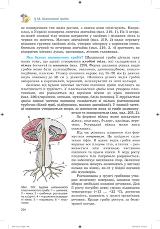204
§ 54. Шапинкові гриби
íå ïîøèðåííÿì òèõ âèäіâ ðîñëèí, ç ÿêèìè âîíè ñïіâіñíóþòü. Íàïðè-
êëàä, â Óêðàїíі ïîøèðåíà ëèñè÷êà çâè÷àéíà (ìàë. 219, 1). Íà її ÿñêðà-
âî-æîâòі ïëîäîâі òіëà ìîæíà íàòðàïèòè ó õâîéíèõ і ìіøàíèõ ëіñàõ іç
÷åðâíÿ ïî æîâòåíü. Ìàñëþê çâè÷àéíèé (ìàë. 219, 2) íàäàє ïåðåâàãó
ïіùàíèì ґðóíòàì õâîéíèõ ëіñіâ, óòâîðþє ìіêîðèçó ç êîðåíÿìè ñîñíè.
Îïåíüîê ëó÷íèé òà ïå÷åðèöÿ çâè÷àéíà (ìàë. 219, 3, 4) çðîñòàþòü íà
âіäêðèòèõ ìіñöÿõ: ëóêàõ, ïàñîâèùàõ, ëіñîâèõ ãàëÿâèíàõ.
ßêà áóäîâà øàïèíêîâèõ ãðèáіâ? Øàïèíêîâі ãðèáè äіñòàëè òàêó
íàçâó òîìó, ùî çäàòíі óòâîðþâàòè ïëîäîâі òіëà, ÿêі ñêëàäàþòüñÿ ç
íіæêè (ïåíüêà) òà øàïèíêè (ìàë. 220). Ôîðìà øàïèíêè ðіçíèõ âèäіâ
ãðèáіâ ìîæå áóòè êóëåïîäіáíîþ, îâàëüíîþ, äçâîíîïîäіáíîþ, êîíóñî-
ïîäіáíîþ, ïëàñêîþ. Ðîçìіð øàïèíêè âàðіþє âіä 15–20 ìì (ó äåÿêèõ
âèäіâ îïåíüîê) äî 50 ñì ó äіàìåòðі. Øàïèíêà ðіçíèõ âèäіâ ãðèáіâ
çàáàðâëåíà â êîðè÷íåâèé, ÷åðâîíèé, çåëåíêóâàòèé òà іíøі êîëüîðè.
Çàëåæíî âіä áóäîâè íèæíüîї ÷àñòèíè øàïèíêè ãðèáè ïîäіëÿþòü íà
ïëàñòèí÷àñòі é òðóá÷àñòі. Ó ïëàñòèí÷àñòèõ ãðèáіâ âîíà óòâîðåíà ïëàñ-
òèíêàìè, ÿêі ðîçõîäÿòüñÿ âіä âåðõіâêè íіæêè äî êðàþ øàïèíêè
(ìàë. 220) (ñèðîїæêè, îïåíüêè, ìóõîìîðè, áëіäà ïîãàíêà). Ó òðóá÷àñòèõ
ãðèáіâ íèæíÿ ÷àñòèíà øàïèíêè ñêëàäàєòüñÿ çі ùіëüíî ðîçòàøîâàíèõ
òðóáî÷îê (áіëèé ãðèá, ïіäáåðåçíèê, ìàñëþê çâè÷àéíèé). Ó íèæíіé ÷àñòè-
íі øàïèíêè óòâîðþþòüñÿ ñïîðè, çà äîïîìîãîþ ÿêèõ öі ãðèáè ðîçìíîæó-
þòüñÿ òà ïîøèðþþòüñÿ (äèâ. ìàë. 205, 2).
Çà ôîðìîþ íіæêà ìîæå íàãàäóâàòè
äіæêó, ïîäóøêó, áóëàâó, öèëіíäð, âåðå-
òåíî. Óñåðåäèíі íіæêà ìîæå ìàòè
ïîðîæíèíó.
Ïіä ÷àñ ðîçâèòêó ïëîäîâîãî òіëà ôîð-
ìóєòüñÿ ïîêðèâàëî. Öå øêіðÿñòå ñïëå-
òåííÿ ãіôіâ. Â îäíèõ âèäіâ ãðèáіâ âîíî
âêðèâàє âñå ïëîäîâå òіëî, â іíøèõ – ðîç-
âèâàєòüñÿ ìіæ íèæíüîþ ÷àñòèíîþ
øàïèíêè òà êðàєì íіæêè. Ó ìіðó ðîñòó
ïëîäîâîãî òіëà ïîêðèâàëî ðîçðèâàєòüñÿ,
ùî çàáåçïå÷óє âèñèïàííÿ ñïîð. Çàëèøêè
ïîêðèâàëà ìîæóòü çàëèøàòèñü ó âèãëÿäі
êіëüöÿ íà íіæöі, ÿê-îò ó áëіäîї ïîãàíêè
àáî ìóõîìîðіâ.
Ðîçòàøîâàíà â ґðóíòі ãðèáíèöÿ óòâî-
ðþє âåëè÷åçíó ïîâåðõíþ, çàâäÿêè ÷îìó
âáèðàє íåîáõіäíі ïîæèâíі ðå÷îâèíè. Äëÿ
її ðîñòó ïîòðіáíі ïåâíі óìîâè: ïіäâèùåíà
òåìïåðàòóðà (+12 ... +22 Ñ), äîñòàòíÿ
âîëîãіñòü, íàÿâíіñòü ó ґðóíòі îðãàíі÷íèõ
ðå÷îâèí. Êðàùå ãðèáè ðîñòóòü çà áåçâі-
òðÿíîї ïîãîäè.
Мал. 220. Будова шапинкового
пластинчастого гриба: 1 – шапинка;
2 – ніжка; 3 – грибниця, розташова-
на в ґрунті; 4 – порожнина всереди-
ні ніжки; 5 – покривало; 6 – плас-
тинки
1
2
3
4
5
6
(014-13)_V3.indd 204 14.07.2014 13:13:37
 