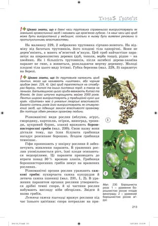 Тема
213
! Цікаво знати, що в давні часи трутовика справжнього використовували як
зовнішній кровоспинний засіб і називали ще кров’яною губкою. І в наші часи цей гриб
може бути використаний у медицині, оскільки в ньому були виявлені речовини із
протипухлинними властивостями.
Íà ìàëþíêó 229, 2 çîáðàæåíî òðóòîâèêà ñіð÷àíî-æîâòîãî. Íà âіä-
ìіíó âіä áàãàòüîõ òðóòîâèêіâ, éîãî ïëîäîâі òіëà îäíîðі÷íі. Âîíè íå
äåðåâ’ÿíіþòü, à ìàþòü ì’ÿñèñòèé ì’ÿêóø. Öåé ãðèá íàé÷àñòіøå ïàðà-
çèòóє íà øèðîêîëèñòèõ äåðåâàõ (äóá, òîïîëÿ, âåðáà òîùî), ðіäøå – íà
õâîéíèõ. ßê і áіëüøіñòü òðóòîâèêіâ, ïіñëÿ çàãèáåëі äåðåâà-õàçÿїíà
ïàðàçèò íå ãèíå, à æèâèòüñÿ, ðîçêëàäàþ÷è ìåðòâó äåðåâèíó. Ìîëîäі
ïëîäîâі òіëà öüîãî âèäó їñòіâíі. Ãóáêà áåðåçîâà (ìàë. 229, 3) ïàðàçèòóє
íà áåðåçі.
! Цікаво знати, що до трутовиків належить гриб
лентин, якого ще називають «шиітаке», або чорним
грибом (мал. 229, 4). Цей гриб трапляється на стовбу-
рах берези, тополі та інших листяних порід, а також на
пеньках. Батьківщиною цього гриба вважають Китай та
Японію, де його штучно вирощують майже 2000 років.
Лентин широко використовують у традиційній кухні цих
країн. « иітаке» має й унікальні лікарські властивості.
Багато сотень років його використовують як стимулю-
ючий засіб, що підвищує захисні властивості організму.
Він поліпшує обмін речовин організму людини.
Ðіçíîìàíіòíі âèäè ðîñëèí (ÿáëóíþ, àґðóñ,
ñìîðîäèíó, êàðòîïëþ, îãіðêè, âèíîãðàä, òðîÿí-
äè, öóêðîâèé áóðÿê, çëàêè) âðàæàþòü áîðîø-
íèñòîðîñÿíі ãðèáè (ìàë. 230). Ñâîþ íàçâó âîíè
äіñòàëè òîìó, ùî їõíÿ áіëóâàòà ãðèáíèöÿ
íàãàäóє ðîçñèïàíå áîðîøíî. Çãîäîì ãðèáíèöÿ
òåìíіøàє.
Ãіôè ïðîíèêàþòü ó øêіðêó ðîñëèíè é çàáåç-
ïå÷óþòü æèâëåííÿ ïàðàçèòà. Â óðàæåíèõ ðîñ-
ëèí óïîâіëüíþєòüñÿ ðіñò, їõíі ïëîäè îñèïàþòü-
ñÿ íåäîçðіëèìè. Öі ïàðàçèòè ïðèçâîäÿòü äî
âòðàòè ïîíàä 30 % âðîæàþ çëàêіâ. Ãðèáíèöÿ
áîðîøíèñòîðîñÿíèõ ãðèáіâ çèìóє íà âðàæåíèõ
ðîñëèíàõ.
Ðіçíîìàíіòíі îðãàíè ðîñëèí óðàæàþòü ñàæ-
êîâі ãðèáè: ïóõèð÷àñòà ñàæêà êóêóðóäçè é
ëåòþ÷à ñàæêà ïøåíèöі (ìàë. 231, 1, 2). Â óðà-
æåíèõ ïàðàçèòîì îðãàíàõ ðîñëèíè óòâîðþþòü-
ñÿ äðіáíі òåìíі ñïîðè, é öі ÷àñòèíè ðîñëèí
íàáóâàþòü âèãëÿäó íіáè îáãîðіëèõ. Çâіäñè é
íàçâà ãðèáіâ.
Ëåòþ÷à ñàæêà ïøåíèöі âðàæóє ðîñëèíè ïіä
÷àñ їõíüîãî öâіòіííÿ: ñïîðà ïîòðàïëÿє íà ïðè-
Мал. 230. Борошниста
роса: 1 – ураження бо-
рошнистою росою плодів
винограду; 2 – уражений
борошнистою росою аґ-
рус
1
2
(014-13)_V3.indd 213 14.07.2014 13:13:39
 
