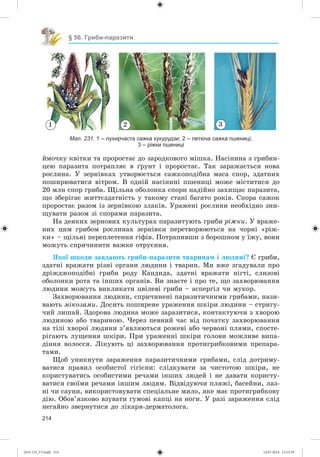214
§ 56. Гриби-паразити
éìî÷êó êâіòêè òà ïðîðîñòàє äî çàðîäêîâîãî ìіøêà. Íàñіíèíà ç ãðèáíè-
öåþ ïàðàçèòà ïîòðàïëÿє â ґðóíò і ïðîðîñòàє. Òàê çàðàæàєòüñÿ íîâà
ðîñëèíà. Ó çåðíіâêàõ óòâîðþєòüñÿ ñàæêîïîäіáíà ìàñà ñïîð, çäàòíèõ
ïîøèðþâàòèñÿ âіòðîì. Â îäíіé íàñіíèíі ïøåíèöі ìîæå ìіñòèòèñÿ äî
20 ìëí ñïîð ãðèáà. Ùіëüíà îáîëîíêà ñïîðè íàäіéíî çàõèùàє ïàðàçèòà,
ùî çáåðіãàє æèòòєçäàòíіñòü ó òàêîìó ñòàíі áàãàòî ðîêіâ. Ñïîðà ñàæîê
ïðîðîñòàє ðàçîì іç çåðíіâêîþ çëàêіâ. Óðàæåíі ðîñëèíè íåîáõіäíî çíè-
ùóâàòè ðàçîì çі ñïîðàìè ïàðàçèòà.
Íà äåÿêèõ çåðíîâèõ êóëüòóðàõ ïàðàçèòóþòü ãðèáè ðіæêè. Ó âðàæå-
íèõ öèì ãðèáîì ðîñëèíàõ çåðíіâêè ïåðåòâîðþþòüñÿ íà ÷îðíі «ðіæ-
êè» – ùіëüíі ïåðåïëåòåííÿ ãіôіâ. Ïîòðàïèâøè ç áîðîøíîì ó їæó, âîíè
ìîæóòü ñïðè÷èíèòè âàæêå îòðóєííÿ.
ßêîї øêîäè çàâäàþòü ãðèáè-ïàðàçèòè òâàðèíàì і ëþäèíі? Є ãðèáè,
çäàòíі âðàæàòè ðіçíі îðãàíè ëþäèíè і òâàðèí. Ìè âæå çãàäóâàëè ïðî
äðіæäæîïîäіáíі ãðèáè ðîäó Êàíäèäà, çäàòíі âðàæàòè íіãòі, ñëèçîâі
îáîëîíêè ðîòà òà іíøèõ îðãàíіâ. Âè çíàєòå і ïðî òå, ùî çàõâîðþâàííÿ
ëþäèíè ìîæóòü âèêëèêàòè öâіëåâі ãðèáè – àñïåðãіë ÷è ìóêîð.
Çàõâîðþâàííÿ ëþäèíè, ñïðè÷èíåíі ïàðàçèòè÷íèìè ãðèáàìè, íàçè-
âàþòü ìіêîçàìè. Äîñèòü ïîøèðåíå óðàæåííÿ øêіðè ëþäèíè – ñòðèãó-
÷èé ëèøàé. Çäîðîâà ëþäèíà ìîæå çàðàçèòèñÿ, êîíòàêòóþ÷è ç õâîðîþ
ëþäèíîþ àáî òâàðèíîþ. ×åðåç ïåâíèé ÷àñ âіä ïî÷àòêó çàõâîðþâàííÿ
íà òіëі õâîðîї ëþäèíè ç’ÿâëÿþòüñÿ ðîæåâі àáî ÷åðâîíі ïëÿìè, ñïîñòå-
ðіãàþòü ëóùåííÿ øêіðè. Ïðè óðàæåííі øêіðè ãîëîâè ìîæëèâå âèïà-
äіííÿ âîëîññÿ. Ëіêóþòü öі çàõâîðþâàííÿ ïðîòèãðèáêîâèìè ïðåïàðà-
òàìè.
Ùîá óíèêíóòè çàðàæåííÿ ïàðàçèòè÷íèìè ãðèáàìè, ñëіä äîòðèìó-
âàòèñÿ ïðàâèë îñîáèñòîї ãіãієíè: ñëіäêóâàòè çà ÷èñòîòîþ øêіðè, íå
êîðèñòóâàòèñü îñîáèñòèìè ðå÷àìè іíøèõ ëþäåé і íå äàâàòè êîðèñòó-
âàòèñÿ ñâîїìè ðå÷àìè іíøèì ëþäÿì. Âіäâіäóþ÷è ïëÿæі, áàñåéíè, ëàç-
íі ÷è ñàóíè, âèêîðèñòîâóâàòè ñïåöіàëüíå ìèëî, ÿêå ìàє ïðîòèãðèáêîâó
äіþ. Îáîâ’ÿçêîâî âçóâàòè ãóìîâі êàïöі íà íîãè. Ó ðàçі çàðàæåííÿ ñëіä
íåãàéíî çâåðíóòèñÿ äî ëіêàðÿ-äåðìàòîëîãà.
1 2 3
Мал. 231. 1 – пухирчаста сажка кукурудзи; 2 – летюча сажка пшениці;
3 – ріжки пшениці
(014-13)_V3.indd 214 14.07.2014 13:13:39
 