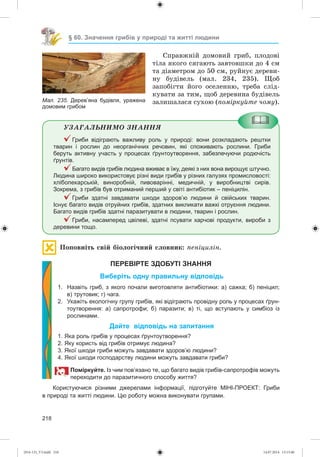 218
§ 60. Значення грибів у природі та житті людини
Ñïðàâæíіé äîìîâèé ãðèá, ïëîäîâі
òіëà ÿêîãî ñÿãàþòü çàâòîâøêè äî 4 ñì
òà äіàìåòðîì äî 50 ñì, ðóéíóє äåðåâè-
íó áóäіâåëü (ìàë. 234, 235). Ùîá
çàïîáіãòè éîãî îñåëåííþ, òðåáà ñëіä-
êóâàòè çà òèì, ùîá äåðåâèíà áóäіâåëü
çàëèøàëàñÿ ñóõîþ (ïîìіðêóéòå ÷îìó).
ÓÇÀÃÀËÜÍÈÌÎ ÇÍÀÍÍß
Гриби відіграють важливу роль у природі: вони розкладають рештки
тварин і рослин до неорганічних речовин, які споживають рослини. Гриби
беруть активну участь у процесах ґрунтоутворення, забезпечуючи родючість
ґрунтів.
Багато видів грибів людина вживає в їжу, деякі з них вона вирощує штучно.
Людина широко використовує різні види грибів у різних галузях промисловості:
хлібопекарській, виноробній, пивоварінні, медичній, у виробництві сирів.
Зокрема, з грибів був отриманий перший у світі антибіотик – пеніцилін.
Гриби здатні завдавати шкоди здоров’ю людини й свійських тварин.
Існує багато видів отруйних грибів, здатних викликати важкі отруєння людини.
Багато видів грибів здатні паразитувати в людини, тварин і рослин.
Гриби, насамперед цвілеві, здатні псувати харчові продукти, вироби з
деревини тощо.
Ïîïîâíіòü ñâіé áіîëîãі÷íèé ñëîâíèê: ïåíіöèëіí.
ПЕРЕВІРТЕ ЗДОБУТІ ЗНАННЯ
Виберіть одну правильну відповідь
1. Назвіть гриб, з якого почали виготовляти антибіотики: а) сажка; б) пеніцил;
в) трутовик; г) чага.
2. Укажіть екологічну групу грибів, які відіграють провідну роль у процесах ґрун-
тоутворення: а) сапротрофи; б) паразити; в) ті, що вступають у симбіоз із
рослинами.
Дайте відповідь на запитання
1. Яка роль грибів у процесах ґрунтоутворення?
2. Яку користь від грибів отримує людина?
3. Якої шкоди гриби можуть завдавати здоров’ю людини?
4. Якої шкоди господарству людини можуть завдавати гриби?
Поміркуйте. Із чим пов’язано те, що багато видів грибів-сапротрофів можуть
переходити до паразитичного способу життя?
Користуючися різними джерелами інформації, підготуйте МІНІ-ПРОЕКТ: Гриби
в природі та житті людини. Цю роботу можна виконувати групами.
Мал. 235. Дерев’яна будівля, уражена
домовим грибом
(014-13)_V3.indd 218 14.07.2014 13:13:40
 