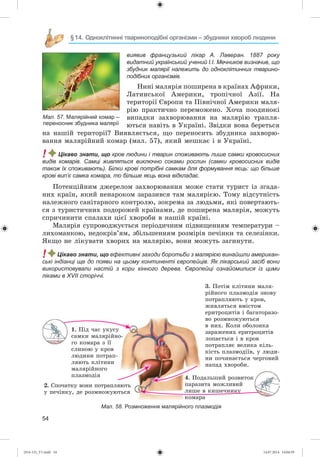 54
§14. Одноклітинні твариноподібні організми – збудники хвороб людини
виявив французький лікар А. Лаверан. 1887 року
видатний український учений І.І. Мечников визначив, що
збудник малярії належить до одноклітинних тварино-
подібних організмів.
Íèíі ìàëÿðіÿ ïîøèðåíà â êðàїíàõ Àôðèêè,
Ëàòèíñüêîї Àìåðèêè, òðîïі÷íîї Àçії. Íà
òåðèòîðії Єâðîïè òà Ïіâíі÷íîї Àìåðèêè ìàëÿ-
ðіþ ïðàêòè÷íî ïåðåìîæåíî. Õî÷à ïîîäèíîêі
âèïàäêè çàõâîðþâàííÿ íà ìàëÿðіþ òðàïëÿ-
þòüñÿ íàâіòü â Óêðàїíі. Çâіäêè âîíà áåðåòüñÿ
íà íàøіé òåðèòîðії? Âèÿâëÿєòüñÿ, ùî ïåðåíîñèòü çáóäíèêà çàõâîðþ-
âàííÿ ìàëÿðіéíèé êîìàð (ìàë. 57), ÿêèé ìåøêàє і â Óêðàїíі.
! Цікаво знати, що кров людини і тварин споживають лише самки кровосисних
видів комарів. Самці живляться виключно соками рослин (самки кровосисних видів
також їх споживають). Білки крові потрібні самкам для формування яєць: що більше
крові вип’є самка комара, то більше яєць вона відкладає.
Ïîòåíöіéíèì äæåðåëîì çàõâîðþâàííÿ ìîæå ñòàòè òóðèñò іç çãàäà-
íèõ êðàїí, ÿêèé íåíàðîêîì çàðàçèâñÿ òàì ìàëÿðієþ. Òîìó âіäñóòíіñòü
íàëåæíîãî ñàíіòàðíîãî êîíòðîëþ, çîêðåìà çà ëþäüìè, ÿêі ïîâåðòàþòü-
ñÿ ç òóðèñòè÷íèõ ïîäîðîæåé êðàїíàìè, äå ïîøèðåíà ìàëÿðіÿ, ìîæóòü
ñïðè÷èíèòè ñïàëàõè öієї õâîðîáè â íàøіé êðàїíі.
Ìàëÿðіÿ ñóïðîâîäæóєòüñÿ ïåðіîäè÷íèì ïіäâèùåííÿì òåìïåðàòóðè –
ëèõîìàíêîþ, íåäîêðіâ’ÿì, çáіëüøåííÿì ðîçìіðіâ ïå÷іíêè òà ñåëåçіíêè.
ßêùî íå ëіêóâàòè õâîðèõ íà ìàëÿðіþ, âîíè ìîæóòü çàãèíóòè.
! Цікаво знати, що ефективні заходи боротьби з малярією винайшли американ-
ські індіанці ще до появи на цьому континенті європейців. Як лікарський засіб вони
використовували настій з кори хінного дерева. Європейці ознайомилися із цими
ліками в XVII сторіччі.
1. Ïіä ÷àñ óêóñó
ñàìêè ìàëÿðіéíî-
ãî êîìàðà ç її
ñëèíîþ ó êðîâ
ëþäèíè ïîòðàï-
ëÿþòü êëіòèíè
ìàëÿðіéíîãî
ïëàçìîäіÿ
2. Ñïî÷àòêó âîíè ïîòðàïëÿþòü
ó ïå÷іíêó, äå ðîçìíîæóþòüñÿ
3. Ïîòіì êëіòèíè ìàëÿ-
ðіéíîãî ïëàçìîäіÿ çíîâó
ïîòðàïëÿþòü ó êðîâ,
æèâëÿòüñÿ âìіñòîì
åðèòðîöèòіâ і áàãàòîðàçî-
âî ðîçìíîæóþòüñÿ
â íèõ. Êîëè îáîëîíêà
çàðàæåíèõ åðèòðîöèòіâ
ëîïàєòüñÿ і â êðîâ
ïîòðàïëÿє âåëèêà êіëü-
êіñòü ïëàçìîäіїâ, ó ëþäè-
íè ïî÷èíàєòüñÿ ÷åðãîâèé
íàïàä õâîðîáè.
4. Ïîäàëüøèé ðîçâèòîê
ïàðàçèòà ìîæëèâèé
ëèøå â êèøå÷íèêó
êîìàðà
Мал. 58. Розмноження малярійного плазмодія
Мал. 57. Малярійний комар –
переносник збудника малярії
(014-13)_V1.indd 54 14.07.2014 14:04:59
 