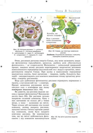79
Мал. 83. Клітина рослини: 1 – клітинна
оболонка; 2 – клітинна мембрана;
3 – цитоплазма; 4 – ядро; 5 – мітохондрія;
6 – хлоропласт; 7 – вакуоля; 8 – інші
органели
3
6 5
4
21 7
8
Мал. 84. Схема, що ілюструє живлення
рослин.
Завдання. Розгляньте малюнок і поясніть
повітряне живлення рослин
Êëіòèíè, ùî
ìіñòÿòü õëîðîôіë
Êèñåíü
Ñîíÿ÷íå ñâіòëî Âóãëåêèñëèé
ãàç
Âîäà ç ðîç÷èíå-
íèìè ïîæèâíèìè
åëåìåíòàìè
Îòæå, ðîñëèíàì äîñòóïíà åíåðãіÿ Ñîíöÿ, ÿêó âîíè çàñâîþþòü çàâäÿ-
êè ôîòîñèíòåçó (ïðèãàäàéòå, îðãàíåëà, çàâäÿêè ÿêіé çäіéñíþєòüñÿ
ôîòîñèíòåç, – öå õëîðîïëàñò). Ôîòîñèíòåç – óíіêàëüíèé ïðèðîäíèé
ïðîöåñ, çàâäÿêè ÿêîìó ðîñëèíè ïåðåòâîðþþòü íåîðãàíі÷íі ðå÷îâèíè
íàâêîëèøíüîãî ñåðåäîâèùà (âóãëåêèñëèé ãàç і âîäó) â îðãàíі÷íі, âèêî-
ðèñòîâóþ÷è åíåðãіþ Ñîíöÿ. Ïðè öüîìó â íàâêîëèøíє ñåðåäîâèùå
âèäіëÿєòüñÿ êèñåíü. Іíøі îðãàíіçìè – òâàðèíè, ãðèáè, áіëüøіñòü áàê-
òåðіé – âèêîðèñòîâóþòü äëÿ âëàñíîãî æèâëåííÿ ãîòîâó îðãàíі÷íó ðå÷î-
âèíó, ñòâîðåíó ðîñëèíàìè.
Âîäó äëÿ çäіéñíåííÿ ôîòîñèíòåçó ðîñëèíè îòðèìóþòü ïåðåâàæíî ç
ґðóíòó, à âóãëåêèñëèé ãàç – ç ïîâіòðÿ.
Ïðîöåñ çàñâîєííÿ ðîñëèíàìè âóãëå-
êèñëîãî ãàçó ç àòìîñôåðè ìàє íàçâó
ïîâіòðÿíå æèâëåííÿ (ìàë. 84).
ßê äîâåñòè, ùî ðîñëèíà âèäіëÿє êè-
ñåíü ó ïðîöåñі ôîòîñèíòåçó? Âèêîíàєìî
äîñëіä (ìàë. 85). Äâі ðîñëèíè ùіëüíî
íàêðèєìî ñêëÿíèì êîâïàêîì. Îäíó ç
íèõ ïîñòàâèìî íà êіëüêà äіá ó òåìíå
ìіñöå, à іíøó – çàëèøèìî íà ñâіòëі.
×åðåç êіëüêà äіá ïîñòàâèìî ïіä ñêëÿíі
êîâïàêè, ÿêèìè íàêðèòî ðîñëèíè,
çàïàëåíі ñâі÷êè. Ñâі÷êà ãîðіòèìå äîâøå
ïіä êîâïàêîì, ÿêèì áóëî íàêðèòî
îñâіòëåíó ðîñëèíó. Öå ïîÿñíþєòüñÿ
òèì, ùî íà ñâіòëі çäіéñíþєòüñÿ ôîòî-
ñèíòåç і ïіä êîâïàêîì íàêîïè÷óєòüñÿ
Мал. 85. На світлі рослина виділяє
кисень
(014-13)_V1.indd 79 14.07.2014 14:05:04
 