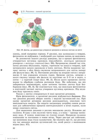 80
§ 21. Рослина – живий організм
1 2 3
Мал. 86. Дослід, що демонструє утворення крохмалю в зелених листках на світлі
êèñåíü, ÿêèé ïіäòðèìóє ãîðіííÿ. Ó ðîñëèíі, ÿêà çàëèøàëàñÿ â òåìðÿâі,
ôîòîñèíòåç íå âіäáóâàâñÿ, і íåîáõіäíèé äëÿ ãîðіííÿ êèñåíü íå âèäіëÿâñÿ.
Çà äîïîìîãîþ іíøîãî äîñëіäó äîâåäåìî, ùî â ïðîöåñі ôîòîñèíòåçó
óòâîðþєòüñÿ âóãëåâîä êðîõìàëü (ïðèãàäàéòå, ìîëåêóëà êðîõìàëþ
óòâîðåíà ç ìîëåêóë ãëþêîçè) (ìàë. 86). Âèòðèìàєìî ïåâíèé ÷àñ êіì-
íàòíó ðîñëèíó (áàëüçàìіí, ãåðàíü, ãîðòåíçіþ ÷è іíøó) â òåìðÿâі, ùîá
âè÷åðïàëèñÿ çàïàñè êðîõìàëþ â їõíіõ ëèñòêàõ. Ïîòіì íàêðèєìî ÷àñ-
òèíó ëèñòêà ç îáîõ áîêіâ ñìóæêîþ íåïðîíèêíîãî äëÿ ñâіòëà ïàïåðó
àáî ôîëüãè (ìàë. 86, 1). Ïîñòàâèìî ðîñëèíó íà ÿñêðàâå ñâіòëî і âèòðè-
ìàєìî її òàì óïðîäîâæ êіëüêîõ ãîäèí. Çðіæåìî ëèñòîê, çíіìåìî ç
íüîãî ñìóæêó ïàïåðó àáî ôîëüãè òà îïóñòèìî íà 2–3 õâ â îêðіï, à
ïîòіì – ó ãàðÿ÷èé ñïèðò (ìàë. 86, 2). Ïіñëÿ öüîãî ïðîìèєìî ëèñòîê
âîäîþ òà îáðîáèìî ñëàáêèì ðîç÷èíîì éîäó. Ìè ïîáà÷èìî, ùî âіí
çàáàðâèòüñÿ íåðіâíîìіðíî, àäæå çàòіíåíà ÷àñòèíà ëèñòêà áóäå áåç-
áàðâíîþ (ìàë. 86, 3). Öå ïîÿñíþєòüñÿ òèì, ùî âíàñëіäîê ôîòîñèíòåçó
â îñâіòëåíіé ÷àñòèíі ëèñòêà óòâîðèâñÿ âóãëåâîä êðîõìàëü. Ïіä âïëè-
âîì éîäó êðîõìàëü ñèíіє.
Òàêîæ ó ëèñòêó óòâîðþþòüñÿ é іíøі îðãàíі÷íі ðå÷îâèíè.
Êðіì ôîòîñèíòåçó, â îðãàíіçìі ðîñëèíè âіäáóâàєòüñÿ äèõàííÿ. Ïіä
÷àñ äèõàííÿ ðîñëèíà âáèðàє êèñåíü і âèäіëÿє âóãëåêèñëèé ãàç. Ïðè
öüîìó îðãàíі÷íі ðå÷îâèíè ðîñëèíè ðîçêëàäàþòüñÿ, óíàñëіäîê ÷îãî
âèâіëüíÿєòüñÿ åíåðãіÿ. Öÿ åíåðãіÿ íàñàìïåðåä ïîòðіáíà ñàìèì ðîñëè-
íàì äëÿ çàáåçïå÷åííÿ ïðîöåñіâ æèòòєäіÿëüíîñòі â íі÷íі ãîäèíè, êîëè
íåìàє ñîíÿ÷íîãî ñâіòëà.
Äëÿ âèÿâëåííÿ äèõàííÿ â ðîñëèí âèêîíàєìî äîñëіä. Âіçüìåìî äâі
ñêëÿíêè. Â îäíó ç íèõ íàëëєìî ÷èñòó âîäó, à â іíøó – ïðîçîðó âàïíî-
âàíó âîäó. Ó êîæíó ïîìіñòèìî ïî ãіëî÷öі åëîäåї. Íàêðèєìî ñêëÿíêè
êîâïàêàìè òà ïîñòàâèìî â òåìíå ìіñöå. ×åðåç äâà-òðè äíі ïîáà÷èìî,
ùî âàïíîâàíà âîäà ñòàëà êàëàìóòíîþ. Öå ñâіä÷èòü ïðî òå, ùî ðîñëèíà
ïіä ÷àñ äèõàííÿ âèäіëÿє âóãëåêèñëèé ãàç, ÿêèé ðåàãóє ç âàïíîâàíîþ
âîäîþ (ìàë. 87).
(014-13)_V1.indd 80 14.07.2014 14:05:05
 