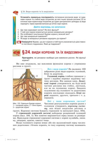 92
§ 24. Види коренів та їх видозміни
Установіть правильну послідовність поглинання рослиною води: а) суди-
нами кореня та стебла вода потрапляє до всіх інших органів рослини; б) по
клітинах кори кореня вода потрапляє до судин центрального циліндра; в) вода
надходить через кореневі волоски до клітин кори кореня.
Дайте відповідь на запитання
1. Що таке кореневий чохлик? Які його функції?
2. У якій зоні кореня всмоктується розчин мінеральних речовин?
3. Які особливості внутрішньої будови кореня у всисній зоні?
4. Що таке мінеральне живлення?
5. Як вода та мінеральні речовини надходять до кореня?
Поміркуйте! Відомо, що ріст кореня в глиб ґрунту визначається дією певно-
го постійного подразника. Який це подразник?
§ 24. ВИДИ КОРЕНІВ ТА ЇХ ВИДОЗМІНИ
Пригадайте, які речовини необхідні для живлення рослин. Які функції
кореня?
Ìè âæå çãàäóâàëè, ùî âàæëèâîþ ôóíêöієþ êîðåíÿ є óòðèìàííÿ
ðîñëèíè â ґðóíòі.
ßêі є âèäè êîðåíіâ? Íà ìàëþíêó 103
çîáðàæåíî ðіçíі âèäè êîðåíіâ: ãîëîâíèé,
áі÷íі òà äîäàòêîâі.
Ãîëîâíèé êîðіíü ãëèáîêî ïðîíèêàє ó
ґðóíò і íàäіéíî âòðèìóє íàäçåìíó ÷àñ-
òèíó ðîñëèíè. Âіí çàâæäè îäèí. Äîäàò-
êîâі êîðåíі óòâîðþþòüñÿ íà áóäü-ÿêіé
÷àñòèíі ðîñëèíè (íà ñòåáëі, ëèñòêàõ),
àëå íå íà ãîëîâíîìó êîðåíі. Çàâäÿêè
ãàëóæåííþ âіä ãîëîâíîãî òà äîäàòêîâèõ
êîðåíіâ ïîñëіäîâíî âіäõîäÿòü áі÷íі êî-
ðåíі ïåðøîãî, äðóãîãî, òðåòüîãî і ò. ä.
ïîðÿäêіâ.
ßêі є òèïè êîðåíåâèõ ñèñòåì?
×èñëåííі ðîçãàëóæåííÿ êîðåíіâ ðàçîì ç
ãîëîâíèì óòâîðþþòü êîðåíåâó ñèñòå-
ìó, ÿêà ìіöíî çàêðіïëþє ðîñëèíó â
ґðóíòі. Êîðåíåâі ñèñòåìè áóâàþòü ñòðèæíåâі òà ìè÷êóâàòі (ìàë. 104).
Ó ñòðèæíåâіé êîðåíåâіé ñèñòåìі íàéêðàùå ðîçâèíåíèé ãîëîâíèé
êîðіíü (ìàë. 104, 1). Âіí ïîìіòíî âèðіçíÿєòüñÿ ñåðåä іíøèõ çà ðîçìіðà-
ìè. Ïðèêëàäîì ñòðèæíåâîї êîðåíåâîї ñèñòåìè є êîðåíі êóëüáàáè, ëþïè-
íó, ëþöåðíè, ùàâëþ, êâàñîëі òîùî.
ßêùî ãîëîâíîãî êîðåíÿ íåìàє àáî âіí ìàëîïîìіòíèé ñåðåä ÷èñëåí-
íèõ äîäàòêîâèõ і áі÷íèõ êîðåíіâ, òî òàêó êîðåíåâó ñèñòåìó íàçèâàþòü
Мал. 103. Зовнішня будова кореня:
1 – головний корінь; 2 – бічні корені;
3 – додаткові корені
2
3
1
(014-13)_V1.indd 92 14.07.2014 14:05:08
 
