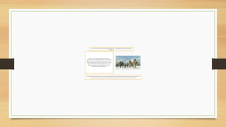 EL PASO POR EL ESTRECHO DE BERING DE LOS PRIMEROS POBLADORESDE
AMÉRICA.
Hace al menos 20.000años humanos modernos
procedentesde Asia orientalcruzaronpor el estrecho de
Bering,un puente de tierra que entonces unía Eurasiacon
Alaska,y arribaronal continenteamericano, un territorio
totalmente inhóspito,cubiertopor glaciaresde varios
kilómetrosde altura que durantemiles de años les
impidieroncontinuarhacia el sur.
20.000años humanos mordernos de Asia orientalcruzaronpor el estrechode Beringy arribaronal continenteamericano
territoriocubiertopor glaciares de varioskilómetros que por mucho no les permitieronpasar asía el sur
 