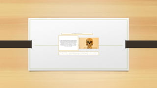 EL HOMBRE DE PALTACALO
El origendel hombreecuatorianose manifiesta desde las
generacionesdescendientes de los primitivoscazadores
nómadas que estuvieronasentados más de 10 mil años.
Pasando por lo que hoy es el estrecho de Bering,
desplazándosehacia el sur, arribandoasí el continente
ecuatoriano,recorriendosus tres regiones naturales
(Costa, Sierra y Oriente).
El origendel hombreecuatorianovienedesde las generacionesdescendientes de los primitivoscazadoresnómadas que
llegaronal continentepor lo que hoy es el estrechode Bering
 