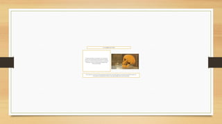 EL HOMBRE DE PUNIN
El cráneo de Punín es un misterio.No se sabe de su
destino,ni si logróprobarla existenciade un hombre
tempranoen la Sierra centraldel Ecuador.La quebrada
de Chalán es uno de los sitios paleontológicos más
interesantesdel país.
No se sabe de su destino,ni si logróprobarla existenciade un hombretempranoen la Sierracentral del Ecuador. Fue
encontradoen la quebradade Chalán un sitio paleontológicomás interesantedel país
 