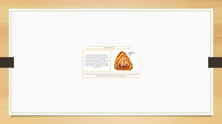 CULTURAPARACAS
La Cultura Paracas fue una importantesociedad en la
historiadel Perú muy conocidos porsu arte textil, sus
momias y por la trepanacióncraneana para podercurar
fracturas y tumores en el cráneo. Surgieron
aproximadamenteaproximadamenteentre 700 a.C. y 200
d.C., con un amplioconocimientode riegoy gestióndel
agua. La mayor parte de nuestra informaciónsobre la
vida de los habitantes de la cultura Paracas provienede
las excavaciones en la necrópolis de Paracas, en primer
lugar investigado
La Cultura Paracas fue una importantesociedad en la historiadel Perú muy conocidospor su arte textil, sus momias y por la
trepanacióncraneanapara poder curar fracturas y tumores en el cráneo.
 