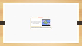 UBICACIÓNDELOS AZTECAS
El Imperioazteca —llamadotambiény de forma más precisa
Triplealianza,Imperiomexica o Imperio tenochca—fue una
entidad de controlterritorial,políticoy económicoque existió
en la zona centralde Mesoamérica,durante el Posclásico
Tardío,antes de la Conquistaespañola.
Los aztecas tenían una religión brutal que parece haber exigido cada vez más sacrificios humanos; como buenos
imperialistas, ejercían el control sobre muchos pueblos conquistados; pero tenían muy buenos modales.
 