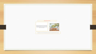 AGRICULTURADELOS AZTECAS
Los cultivos básicosde los aztecas eran el maíz, el frijol,las
calabazas,el ají, el algodón,el cacao y el tomate. El alimento
fundamentaldel puebloazteca fue el maíz, el que se podía
almacenarpara los años en que las cosechas eran escasas
debidoa la escasez de lluvias.
La Agriculturade los Aztecas era muy fundamentalpara su supervivenciay teníanque almacenarpor la escasas lluvias
 