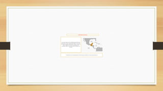 UBICACIÓNDE LOS MAYAS
Los mayas ocuparonuna considerablesuperficiedentro de
Mesoamérica.Existen vestigios arqueológicos en los estados
de Yucatán, Campeche, Quintana Roo, Chiapas y Tabascoen
México. Tambiénen los países centroamericanos de
Guatemala y Belice, así como porcionesde Honduras y El
Salvador.
Su ubicaciónfue muy considerabledentrode Mesoaméricay tambiénen los países centroamericanos
 