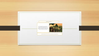 ORIGEN DE LOS INCAS
Según los hallazgoshistóricos, se presume que los
incas provinieronde la cultura Tiahuanacoen el
Altiplanodel Perú. Este grupohumano tuvo que
emigrarde sus tierras debidoa la repentinainvasión
por parte de la cultura aimara. Así, el grupohumano
se dirigióal norte liderados por Manco Cápac
Fue interesanteya que nos hace conocerque son provenientes de la culturaTiahuanaco
 