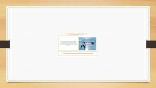 Posicióndifusionistadel poblamientode América.
sostieneque culturas paleolíticas llegaronal continente
americanopor el estrechode Bering,al noroestede
Alaska.Utilizaroncomo vía el puente de hielocreado
entre esa penínsulay Siberia,formado a partir de la última
glaciación.
Posicióndefuncioncitafue interesanteal saber Como llegaronlas culturas por el estrechode Bering
 