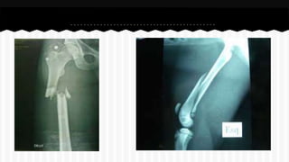 Curso de anatomia radiológica exercicios