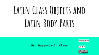 Latin Class Objects and
Latin Body Parts
Ms. Wages-Latin Class
Attribution
CC BY
 