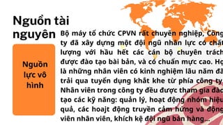 QLCL- CPVN cor.pdf