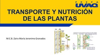TRANSPORTE Y NUTRICIÓN
DE LAS PLANTAS
M.C.B. Zaira María Jeronimo Granados
 