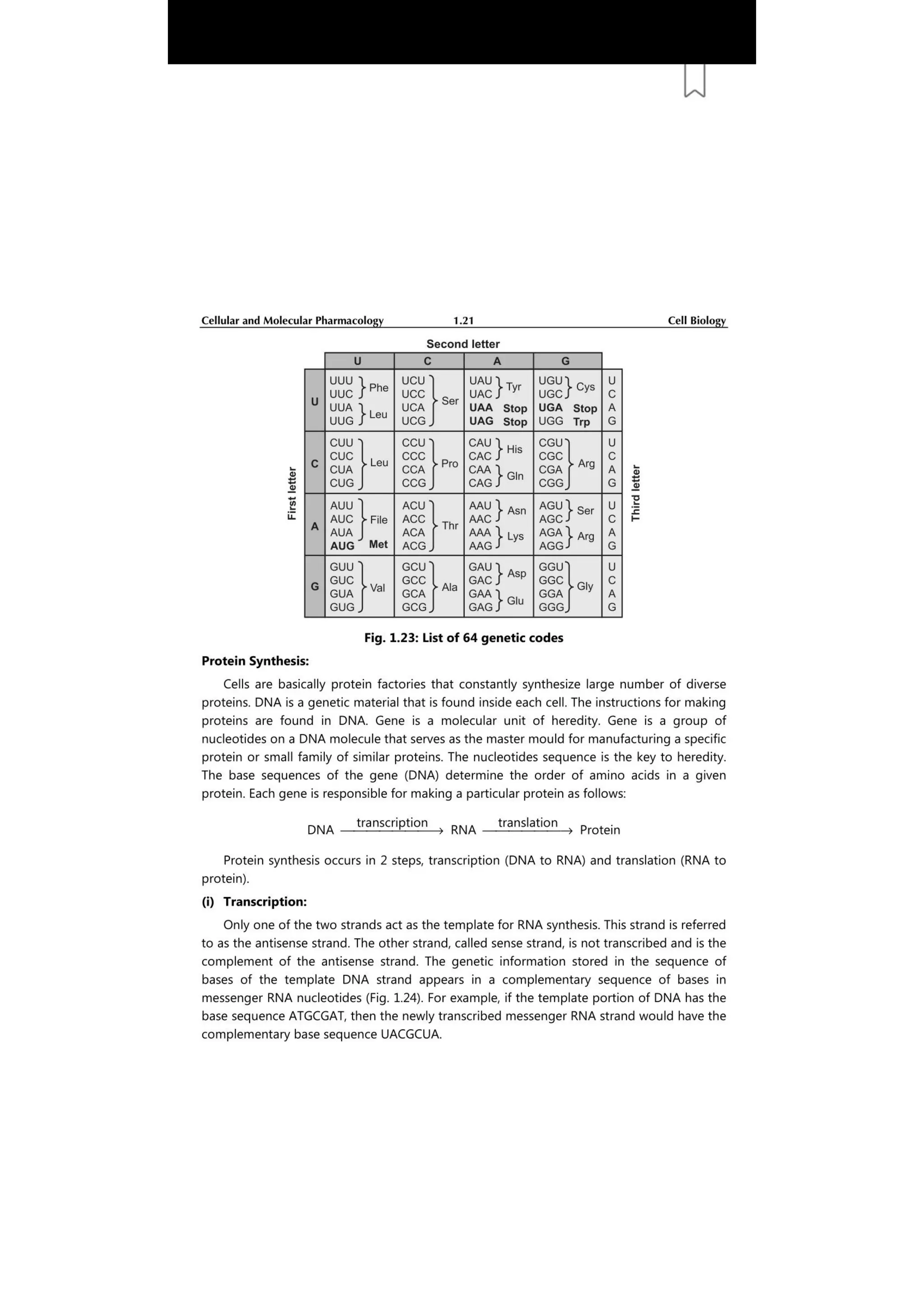 Cellular and molecular pharmacology | PDF