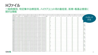 28
Hファイル
一般病棟用、特定集中治療室用、ハイケアユニット用の重症度、医療・看護必要度に
関する情報
ペイロード
方式
 