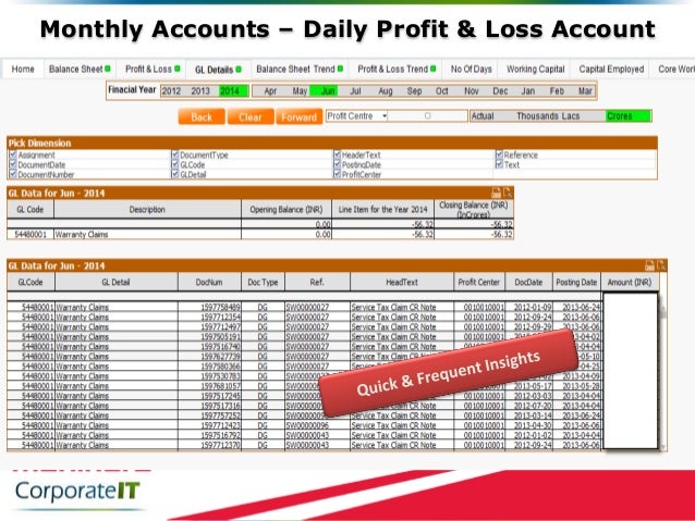 daily profit and loss