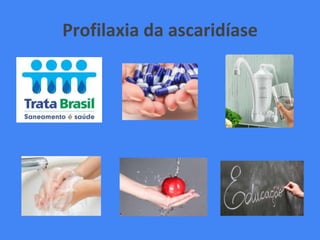 Profilaxia da ascaridíase
 