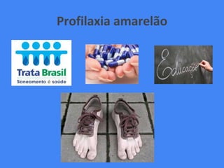 Profilaxia amarelão
 