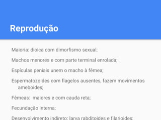 Reprodução
Maioria: dioica com dimorfismo sexual;
Machos menores e com parte terminal enrolada;
Espículas peniais unem o macho à fêmea;
Espermatozoides com flagelos ausentes, fazem movimentos
ameboides;
Fêmeas: maiores e com cauda reta;
Fecundação interna;
 