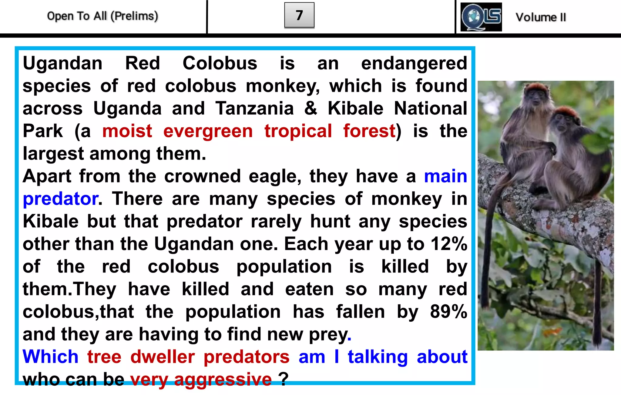 7
Ugandan Red Colobus is an endangered
species of red colobus monkey, which is found
across Uganda and Tanzania & Kibale National
Park (a moist evergreen tropical forest) is the
largest among them.
Apart from the crowned eagle, they have a main
predator. There are many species of monkey in
Kibale but that predator rarely hunt any species
other than the Ugandan one. Each year up to 12%
of the red colobus population is killed by
them.They have killed and eaten so many red
colobus,that the population has fallen by 89%
and they are having to find new prey.
Which tree dweller predators am I talking about
who can be very aggressive ?
 