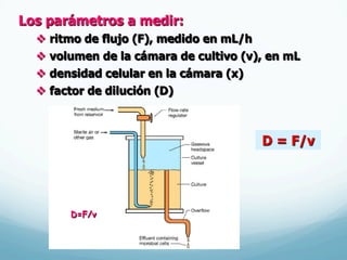 Los parámetros a medir:
v  ritmo de flujo (F), medido en mL/h
v  volumen de la cámara de cultivo (v), en mL
v  densidad celular en la cámara (x)
v  factor de dilución (D)
D=F/v
D = F/v
 
