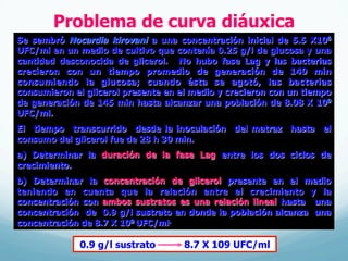 Problema de curva diáuxica
Se sembró Nocardia kirovani a una concentración inicial de 5.5 X106
UFC/ml en un medio de cultivo que contenía 0.25 g/l de glucosa y una
cantidad desconocida de glicerol. No hubo fase Lag y las bacterias
crecieron con un tiempo promedio de generación de 140 min
consumiendo la glucosa; cuando ésta se agotó, las bacterias
consumieron el glicerol presente en el medio y crecieron con un tiempo
de generación de 145 min hasta alcanzar una población de 8.08 X 109
UFC/ml.
El tiempo transcurrido desde la inoculación del matraz hasta el
consumo del glicerol fue de 28 h 30 min.
a) Determinar la duración de la fase Lag entre los dos ciclos de
crecimiento.
b) Determinar la concentración de glicerol presente en el medio
teniendo en cuenta que la relación entre el crecimiento y la
concentración con ambos sustratos es una relación lineal hasta una
concentración de 0.9 g/l sustrato en donde la población alcanza una
concentración de 8.7 X 109 UFC/ml.
0.9 g/l sustrato 8.7 X 109 UFC/ml
 