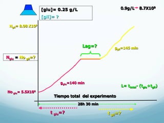 No glu= 5.5X106
Nglu = No gli=?
Ngli= 8.08 X109
[glu]= 0.25 g/L
[gli]= ?
gglu=140 min
ggli=145 min
28h 30 min
Tiempo total del experimento
Lag=?
0.9g/L 8.7X109
t glu=? t gli=?
L= ttotal- (tglu+tgli)
 