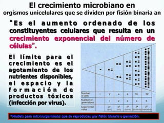 El crecimiento microbiano en
orgismos unicelulares que se dividen por fisión binaria an
“ E s e l a u m e n t o o r d e n a d o d e l o s
constituyentes celulares que resulta en un
crecimiento exponencial del número de
células”.
*Modelo para microorganismos que se reproducen por fisión binaria o gemación.
E l l í m i t e p a r a e l
c r e c i m i e n t o e s e l
agotamiento de los
nutrientes disponibles,
e l e s p a c i o y l a
f o r m a c i ó n d e
p r o d u c t o s t ó x i c o s
(infección por virus).
 