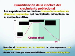 Los experimentos se realizan tomando muestras en
diversos momentos del crecimiento microbiano en
el medio de cultivo.
Cuantificación de la cinética del
crecimiento poblacional
t(h)
Describe el incremento en la densidad de microorganismos con
respecto al tiempo.
Genera una curva que puede ser dividida en cuatro fases distinguibles.
Cuenta total
Fase
Lag
Fase Log o
exponencial
Fase Estacionaria
Fase de
muerte
exponencial
 