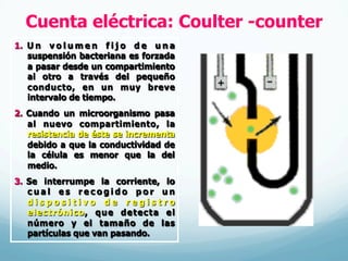Cuenta eléctrica: Coulter -counter
1.  U n v o l u m e n f i j o d e u n a
suspensión bacteriana es forzada
a pasar desde un compartimiento
al otro a través del pequeño
conducto, en un muy breve
intervalo de tiempo.
2.  Cuando un microorganismo pasa
al nuevo compartimiento, la
resistencia de éste se incrementa
debido a que la conductividad de
la célula es menor que la del
medio.
3.  Se interrumpe la corriente, lo
c u a l e s r e c o g i d o p o r u n
d i s p o s i t i v o d e r e g i s t r o
electrónico, que detecta el
número y el tamaño de las
partículas que van pasando.
 