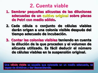 2. Cuenta viable
1.  Sembrar pequeñas alícuotas de las diluciones
adecuadas de un cultivo original sobre placas
de Petri con medio sólido.
2.  Cada célula o conjunto de células viables
darán origen a una colonia visible después del
tiempo adecuado de incubación.
3.  Contar las colonias visibles teniendo en cuenta
la dilución de la que proceden y el volumen de
alícuota utilizado. Es fácil deducir el número
de células viables en la suspensión original.
Una célula viable es aquella que colocada en un medio adecuado, es
capaz de dividirse y dar descendencia.
 