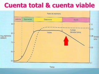 Cuenta total & cuenta viable
 