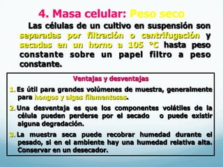4. Masa celular: Peso seco
Las células de un cultivo en suspensión son
separadas por filtración o centrifugación y
secadas en un horno a 105 °C hasta peso
constante sobre un papel filtro a peso
constante.
Ventajas y desventajas
1.  Es útil para grandes volúmenes de muestra, generalmente
para hongos y algas filamentosas.
2.  Una desventaja es que los componentes volátiles de la
célula pueden perderse por el secado o puede existir
alguna degradación.
3.  La muestra seca puede recobrar humedad durante el
pesado, si en el ambiente hay una humedad relativa alta.
Conservar en un desecador.
 
