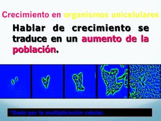 Crecimiento en organismos unicelulares
Hablar de crecimiento se
traduce en un aumento de la
población.
*Dado por la multiplicación celular.
 