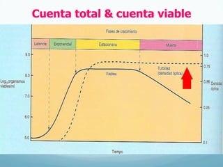 Cuenta total & cuenta viable
 