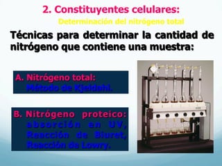 2. Constituyentes celulares:
Determinación del nitrógeno total
Técnicas para determinar la cantidad de
nitrógeno que contiene una muestra:
B.  Nitrógeno proteico:
a b s o r c i ó n e n U V ,
Reacción de Biuret,
Reacción de Lowry.
A. Nitrógeno total:
Método de Kjeldahl.
 